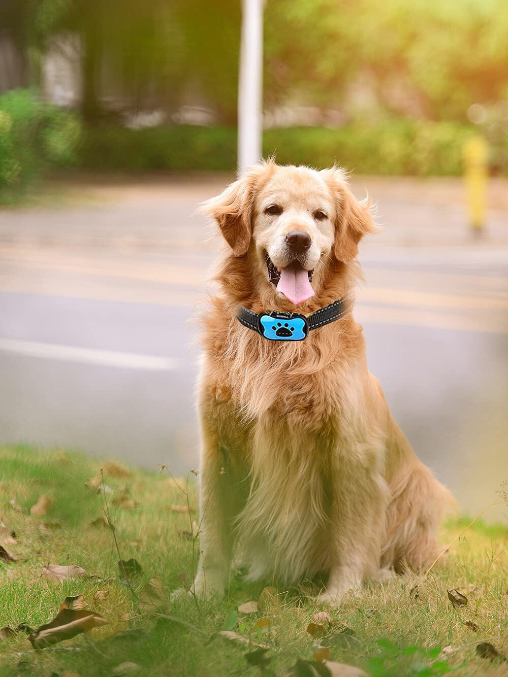 Anti Bark Collar Stop Dog Barking Sound Vibration S-M-L Adjustable Rechargeable