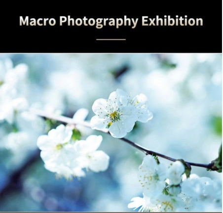 Discover the Ultimate Mobile Phone Wide-Angle Macro Lens – Capture Every Detail with Stunning Clarity!